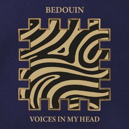 Album cover of Voices In My Head