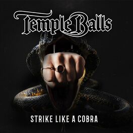 Album cover of Strike Like a Cobra