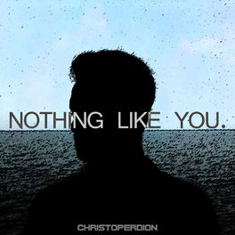 Album cover of Nothing Like You
