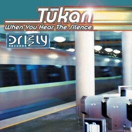 Album cover of When you hear the silence