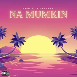 Album cover of NA MUMKIN (feat. Aleey khan & ANAS)