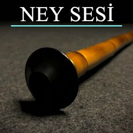 Album cover of Ney Sesi