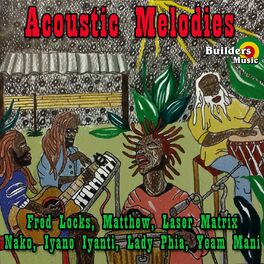 Album cover of Acoustic Melodies