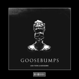 Album cover of Goosebumps (Hardstyle Remix)
