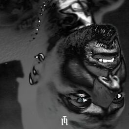 Album cover of SON