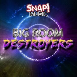 Album cover of Big Room Destroyers