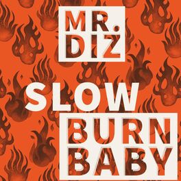 Album cover of Slow Burn Baby