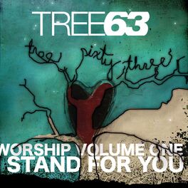 Album cover of I Stand For You