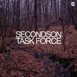 Album cover of Secondson & Task Force