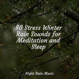 Album cover of 80 Stress Winter Rain Sounds for Meditation and Sleep