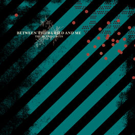 Album cover of The Silent Circus