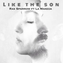 Album cover of Like The Son (feat. La Makeda)