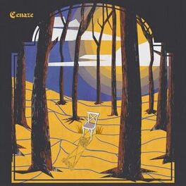 Album cover of Cenaze
