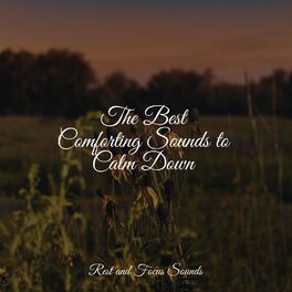 Album cover of The Best Comforting Sounds to Calm Down