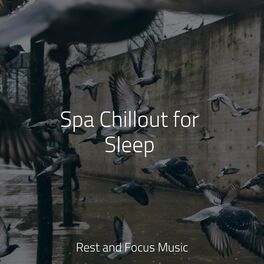 Album cover of Spa Chillout for Sleep