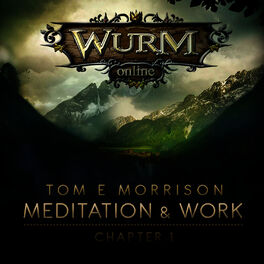 Album cover of Wurm Online - Meditation & Work: Chapter 1