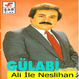 Album cover of Ali İle Neslihan