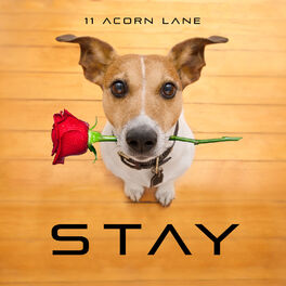 Album cover of Stay