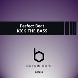 Album cover of Kick The Bass