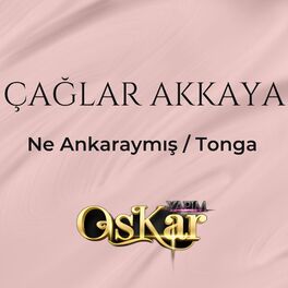 Album cover of Ne Ankaraymış / Tonga