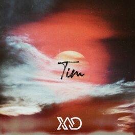 Album cover of Tim