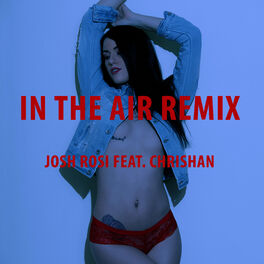 Album cover of In the Air (feat. Chrishan)