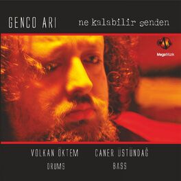Album cover of Ne Kalabilir Senden