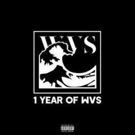 Album cover of 1 Year of WVS