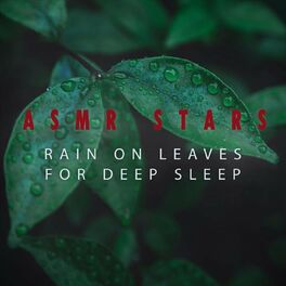Album cover of Rain on Leaves for Deep Sleep