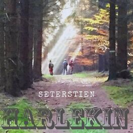 Album cover of Seterstien
