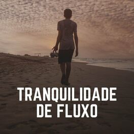 Album cover of Tranquilidade de Fluxo