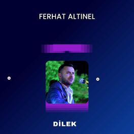 Album cover of Dilek