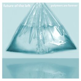Album cover of Polymers Are Forever