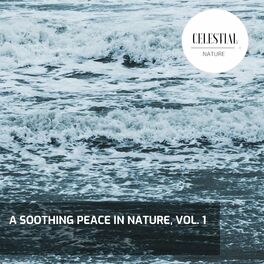 Album cover of A Soothing Peace in Nature, Vol. 1