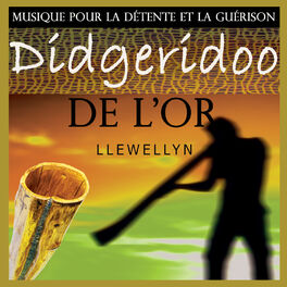 Album cover of Didgeridoo de l'or: musique pour la détente et la guérison