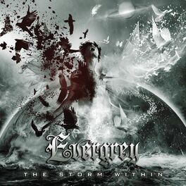 Album cover of The Storm Within