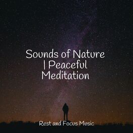 Album cover of Sounds of Nature | Peaceful Meditation