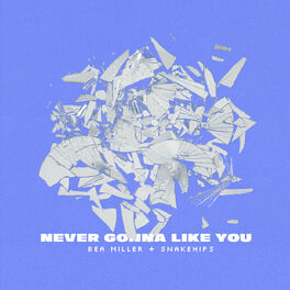 Album cover of NEVER GONNA LIKE YOU