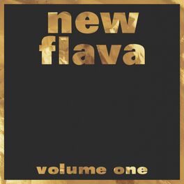 Album cover of New Flava Volume One