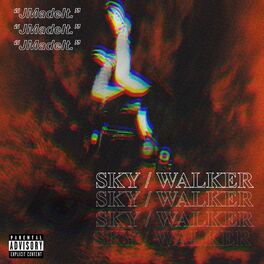 Album cover of SkyWalker