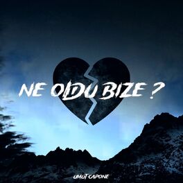 Album cover of Ne Oldu Bize ?