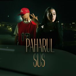Album cover of Paharul sus