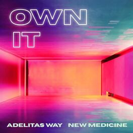 Album cover of Own It
