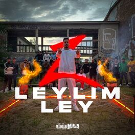 Album cover of LEYLIM LEY