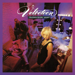 Album cover of Velveteen (Re-Presents)