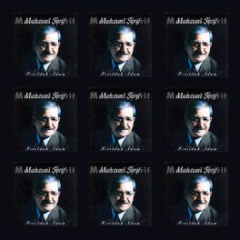 Album cover of Fırıldak Adam