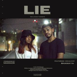 Album cover of Lie