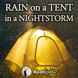 Album cover of Rain on a Tent in a Nightstorm