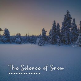 Album cover of The Silence of Snow