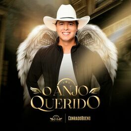 Album cover of O Anjo Querido